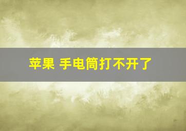 苹果 手电筒打不开了